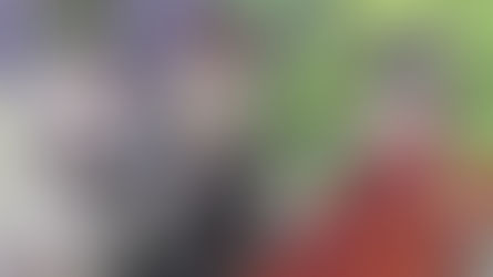 Rail Romanesque (BD)