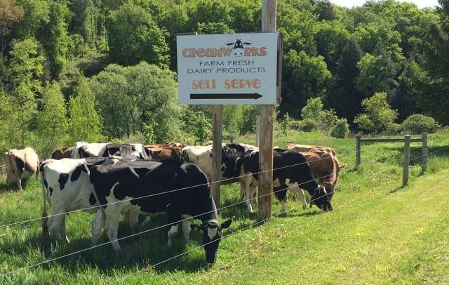 Creamworks Creamery 2