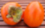 Hachiya persimmon