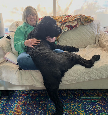 Woman holding a playful black dog on a couch