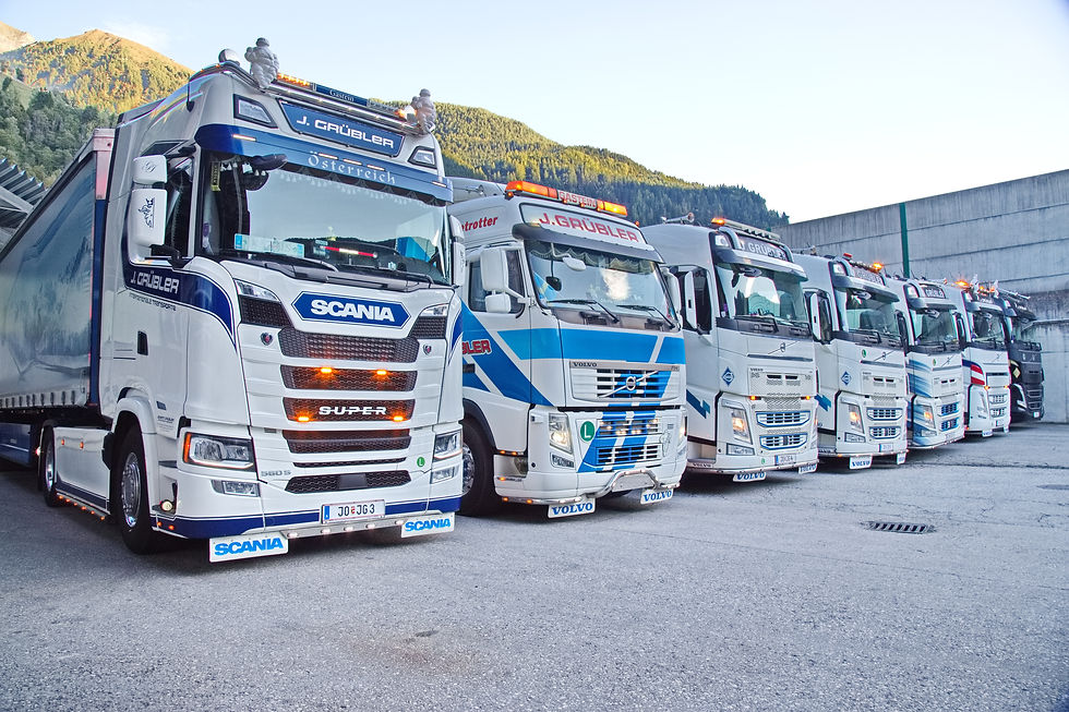 Grübler Trans 2025 XIII.jpg