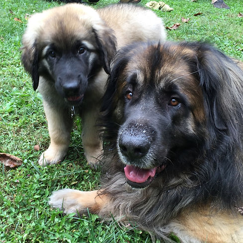 Rutger and Abbey