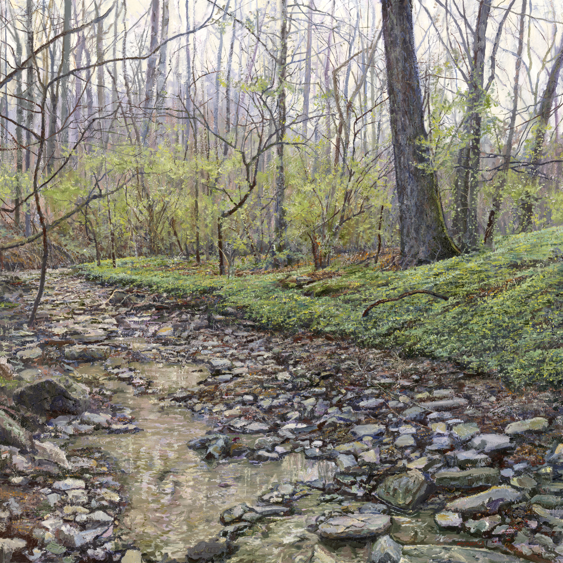 Into the Creek