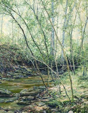 Creek in Early Spring