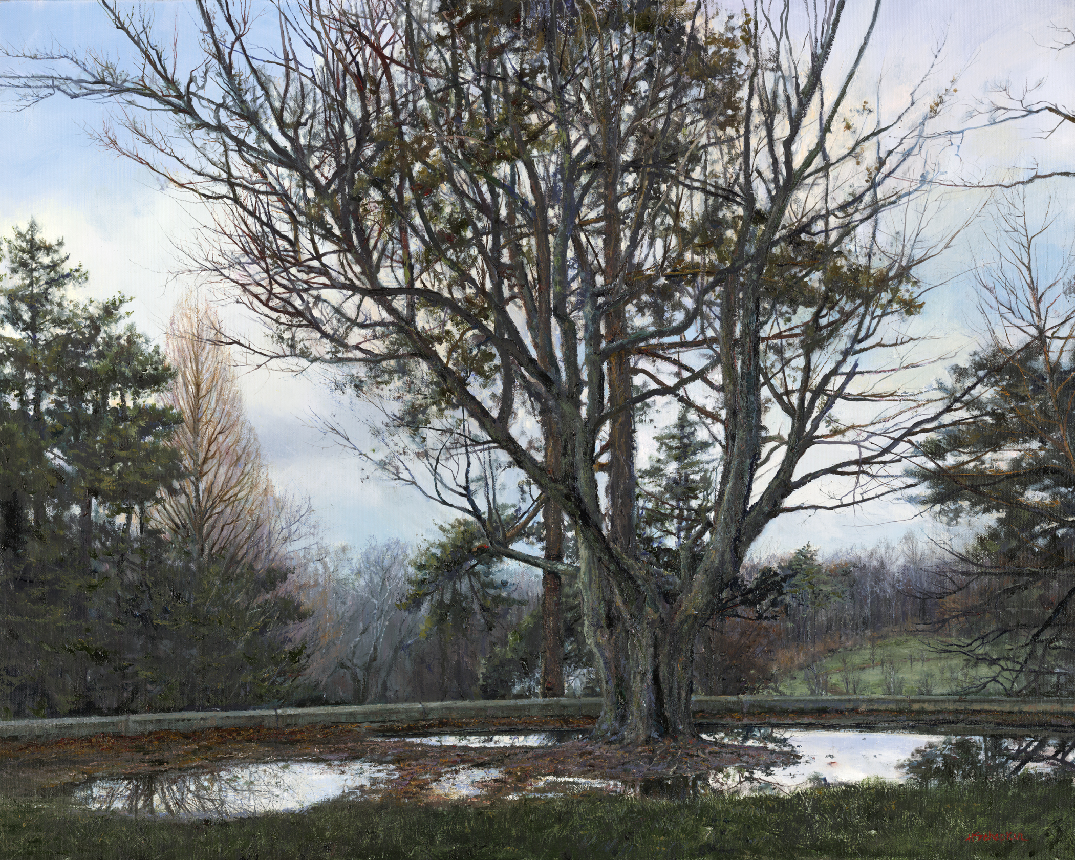 Silent Autumn Afternoon