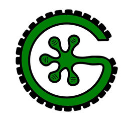 GiGigo