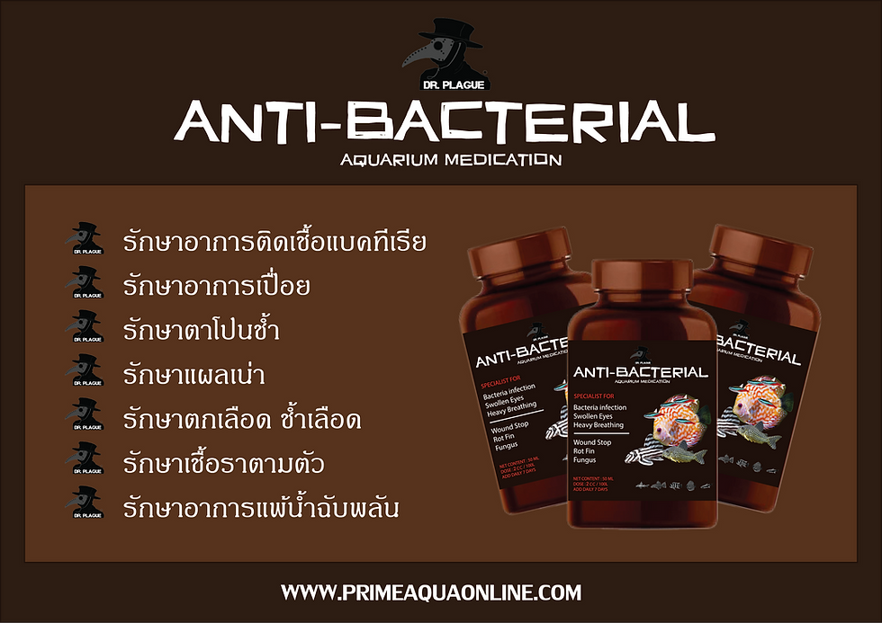 Thumbnail: Doctor Plague : Anti-Bacterial