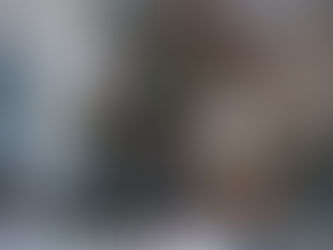 |18.11.2024| Noel về