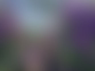 |30.12.2024| Chuyện MC đám cưới