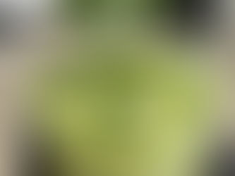 |04.04.2023| OPEN THE GODDAMN FRIDGE PLEASE!