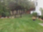 Residential Chain Link fencing