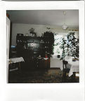 Scan 356.jpeg