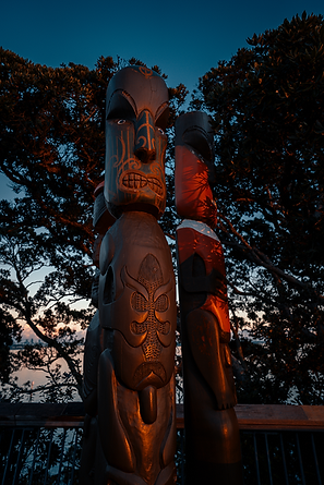 Waiheke Island 1 - KELVIN TAYLOR.png