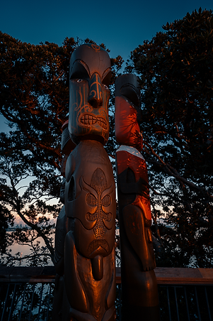 Waiheke Island 1 - KELVIN TAYLOR.png