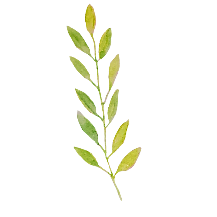 Floral 21.png