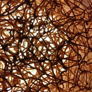 Solar Maximum Jan 25th- March 8th 2025