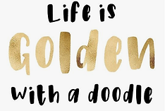 lifeisgolden.png