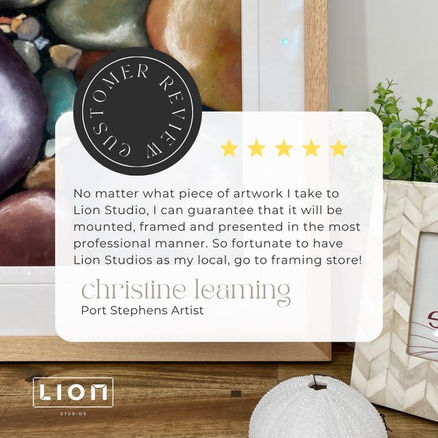 5 Star Customer Review For Lion Studios