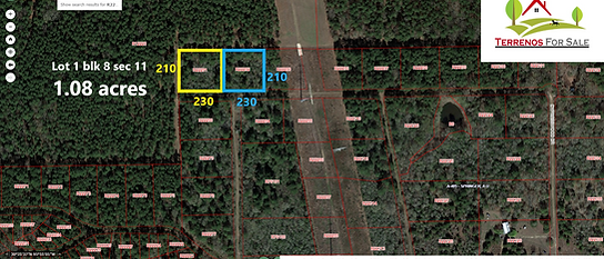 BLUEBONNET Lot 1-8-11, 2-8-11.png