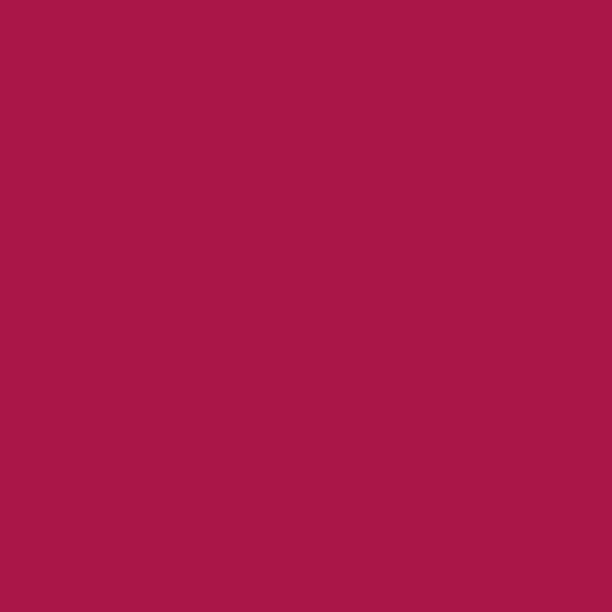 Rose Hip Ruby + Bee Solids | Windham Fabrics