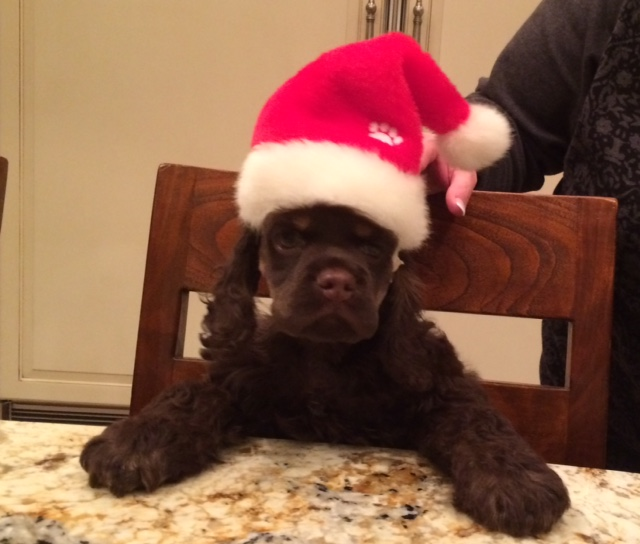 Marcus Claus