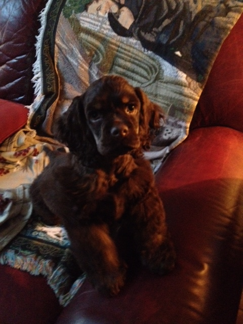 Marcus in his new home