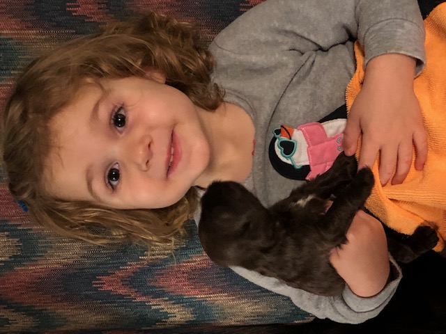 New Friends