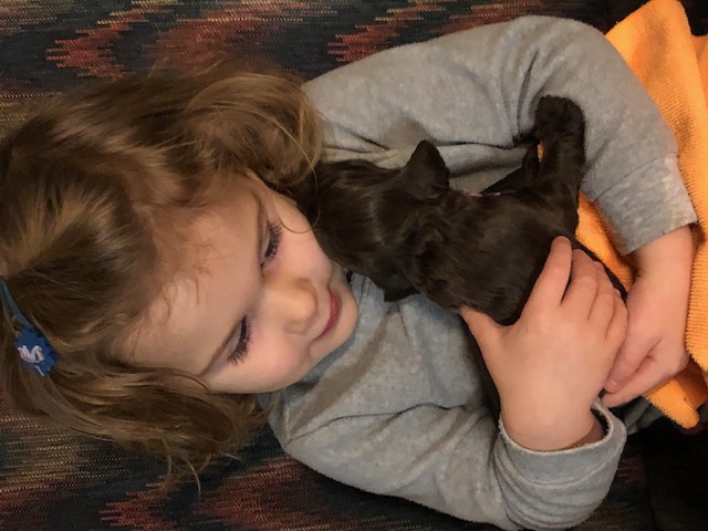 Caroline and 2 week old puppy
