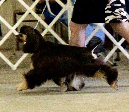 Abby being shown in Georgia