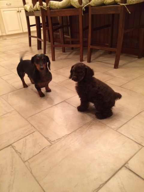 Marcus and cousin Dino