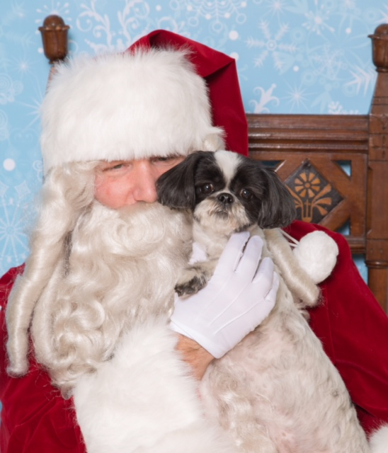 ShaSha n Santa