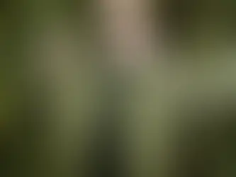 Read the room: Stef De Haan on crowds, community, and club culture