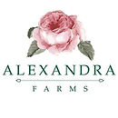 WhatsApp Image 2021-06-09 at 2.38.27 PM.