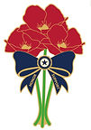 Sue Hembrook Pin.jpg