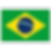 Versão em Português