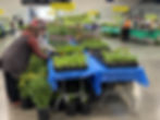 2027 Spring Plant Sale