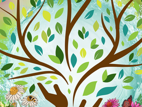 Healing Gardens