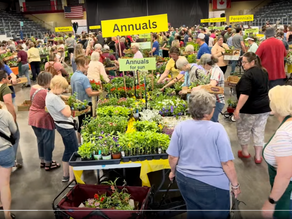 June 2024 Volunteer News & Updates