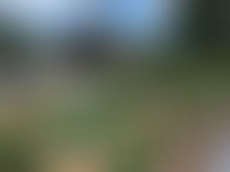 Barn Gardens Ready to Grow