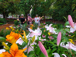 In Praise of Garden Gates