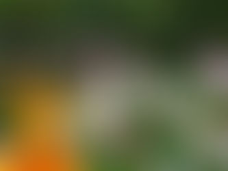 In Praise of Garden Gates