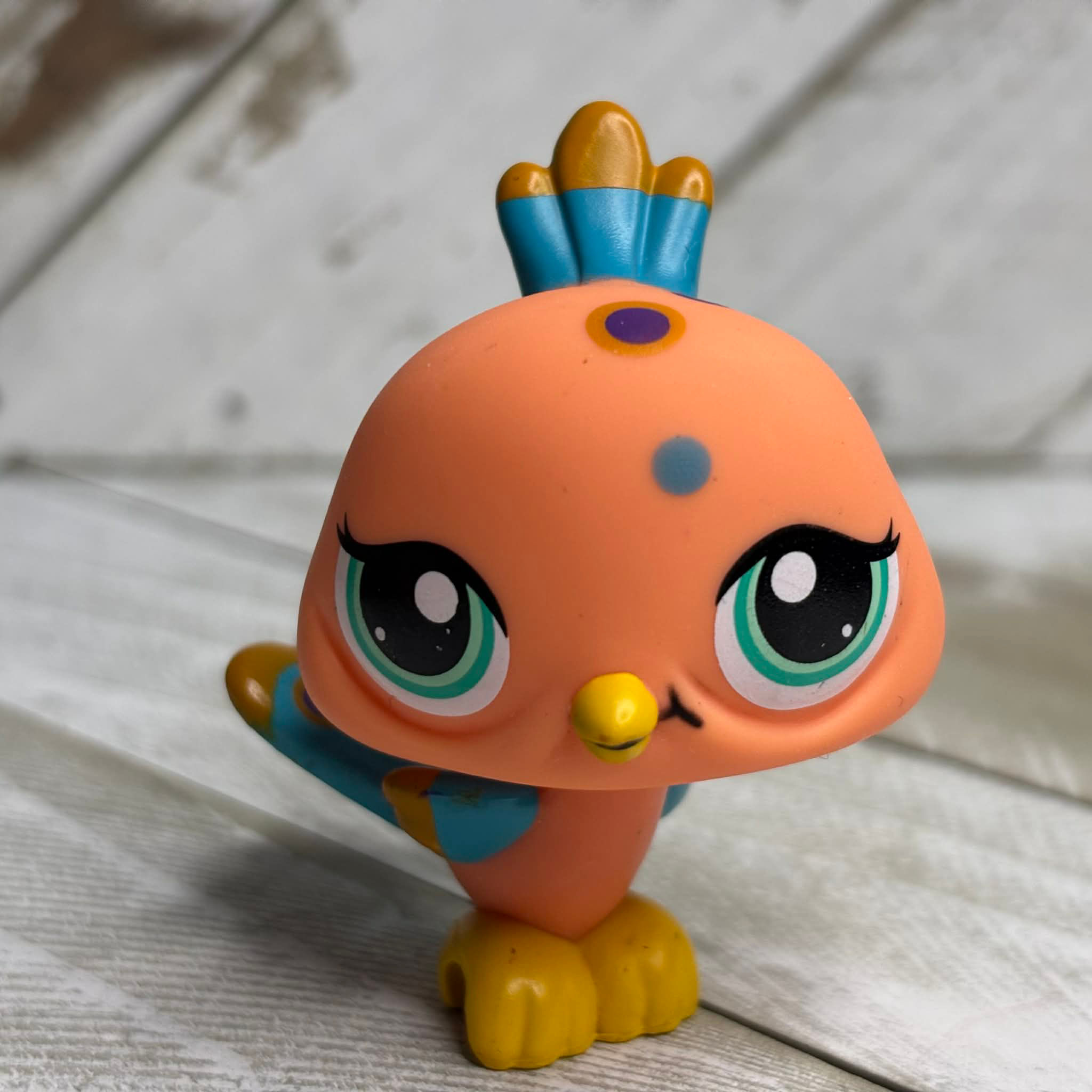 LPS Authentic Peacock 