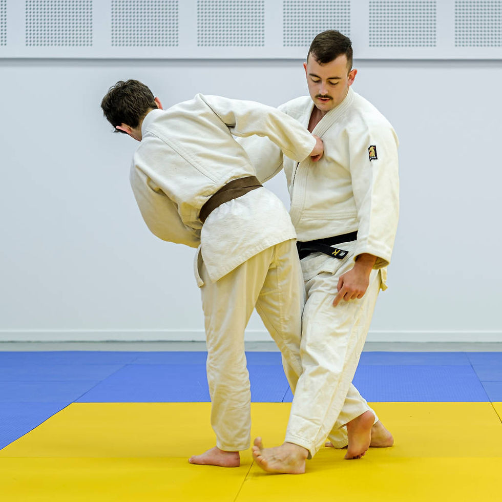 Stages de judo : pendant les vacances, les enfants peuvent continuer à s'entraîner