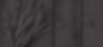 banner-9.jpg