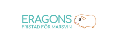 Eragon's logo-01.png