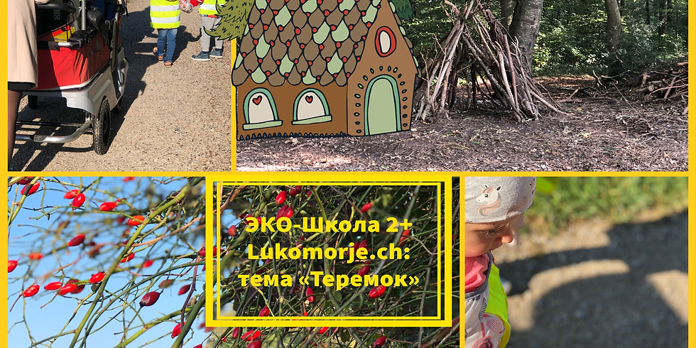 "Эко-школа"- развивающие занятия для малышей