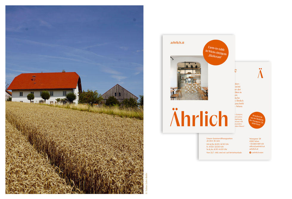 cg_web_aehrlich3