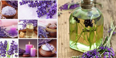 LAvander Essential oil