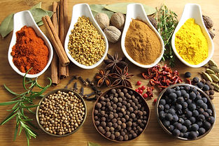  iranian traditional medicine