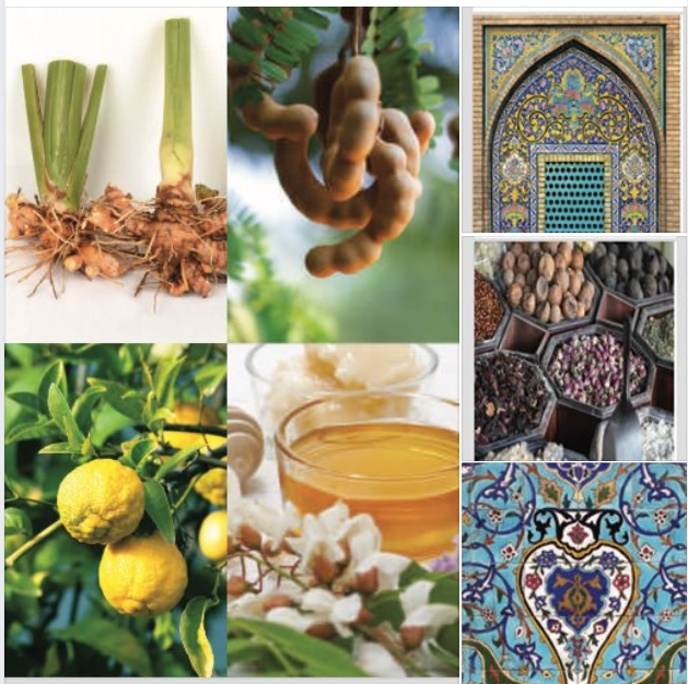 Stronger Immune system